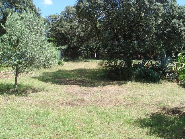 Vista desde la entrada